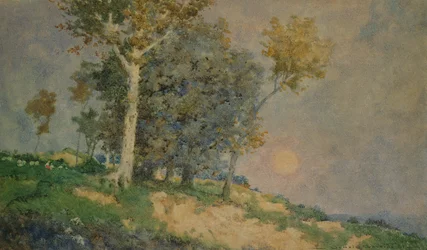 A Summer in the Fields